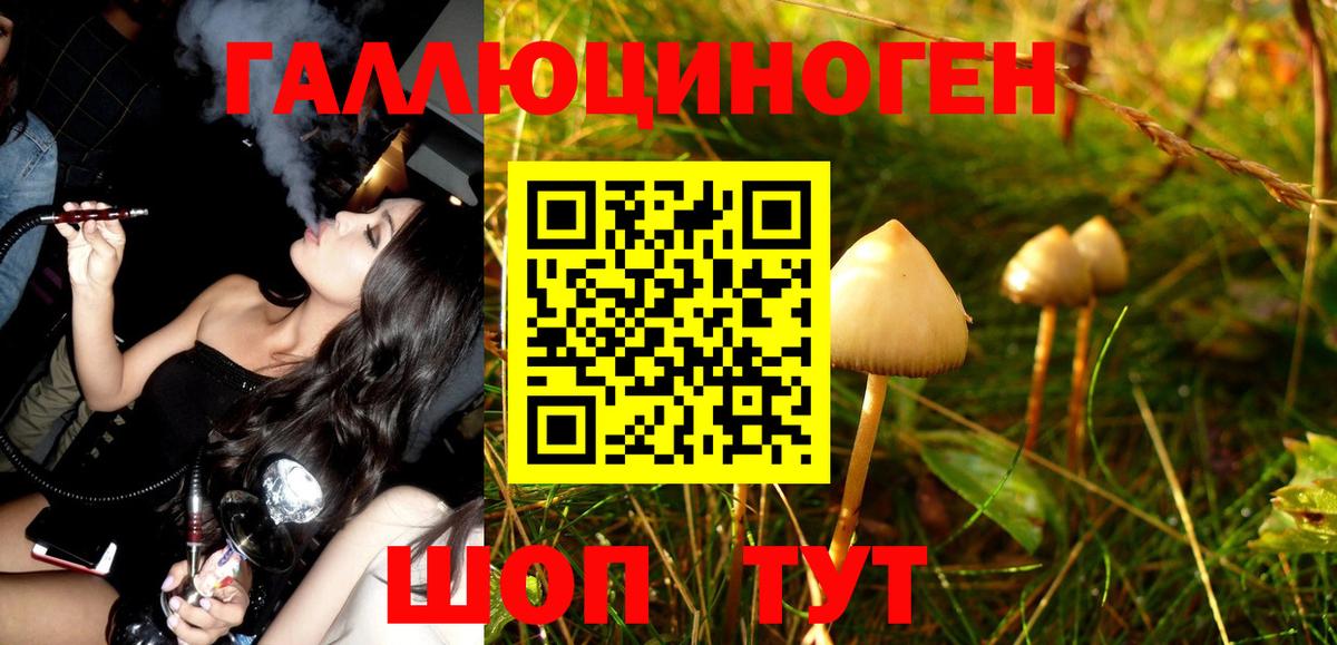 Галлюциногенные грибы MAGIC MUSHROOMS Гуково