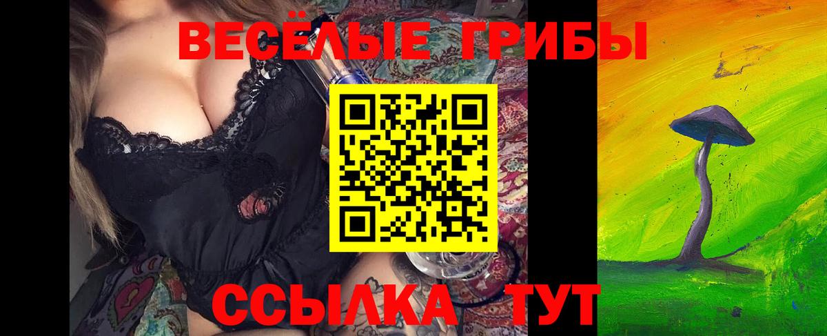 купить наркоту  Вход с VPN  Псилоцибиновые грибы Cubensis  Гуково  Галлюциногенные грибы Psilocybine cubensis 